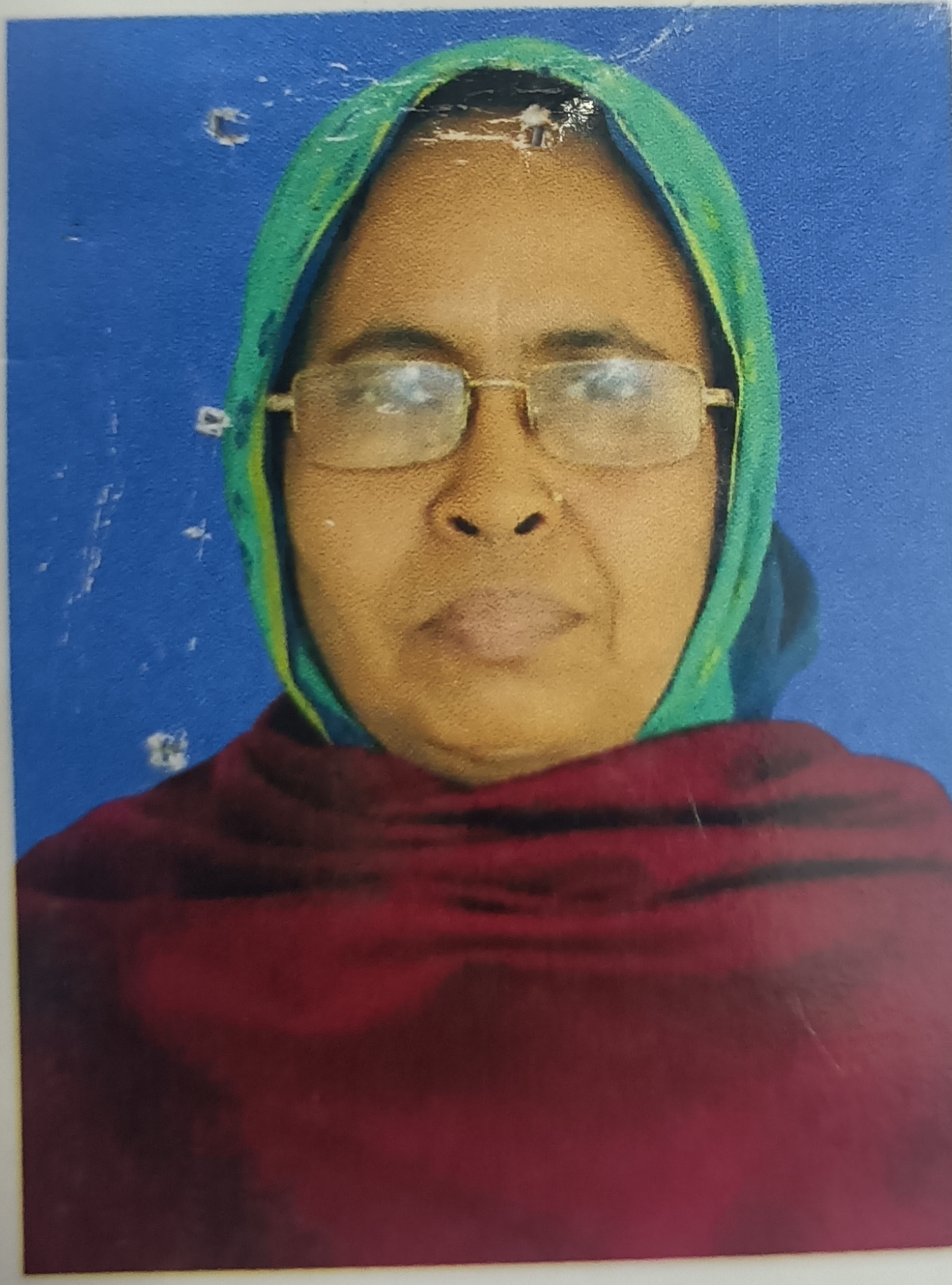 MST. ANJUMANARA (মোসাঃ আঞ্জুমানায়ারা)